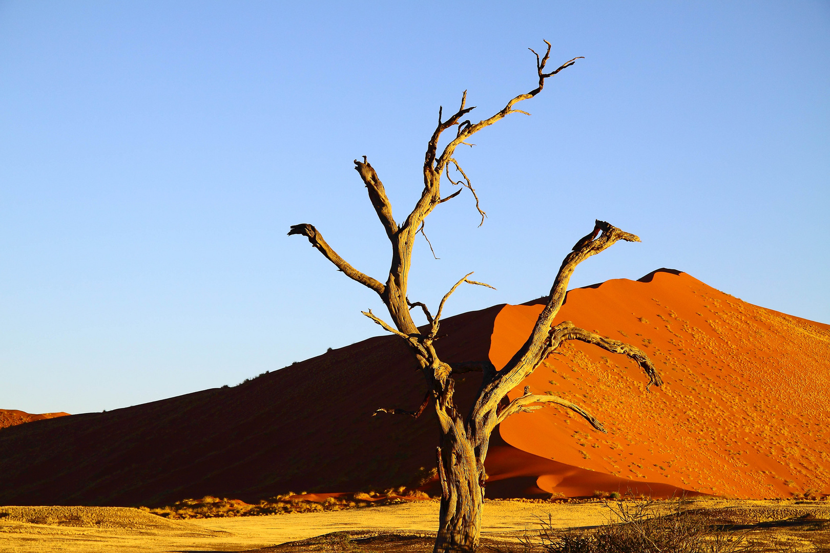 Namibia 3