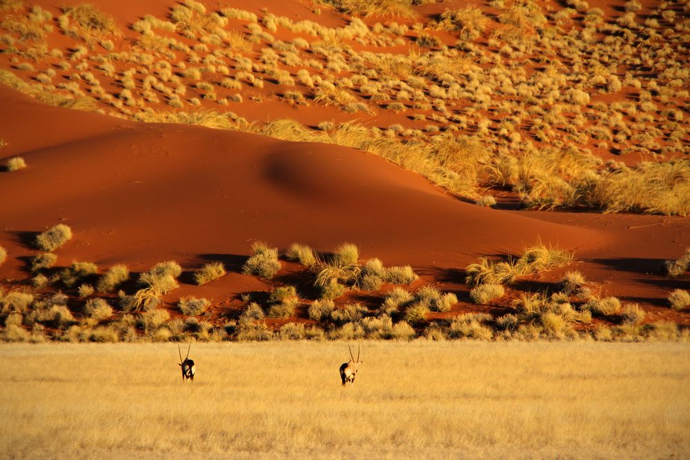 NAMIBIA 3