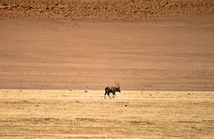 Namibia 30 - Im Vorbeigehen