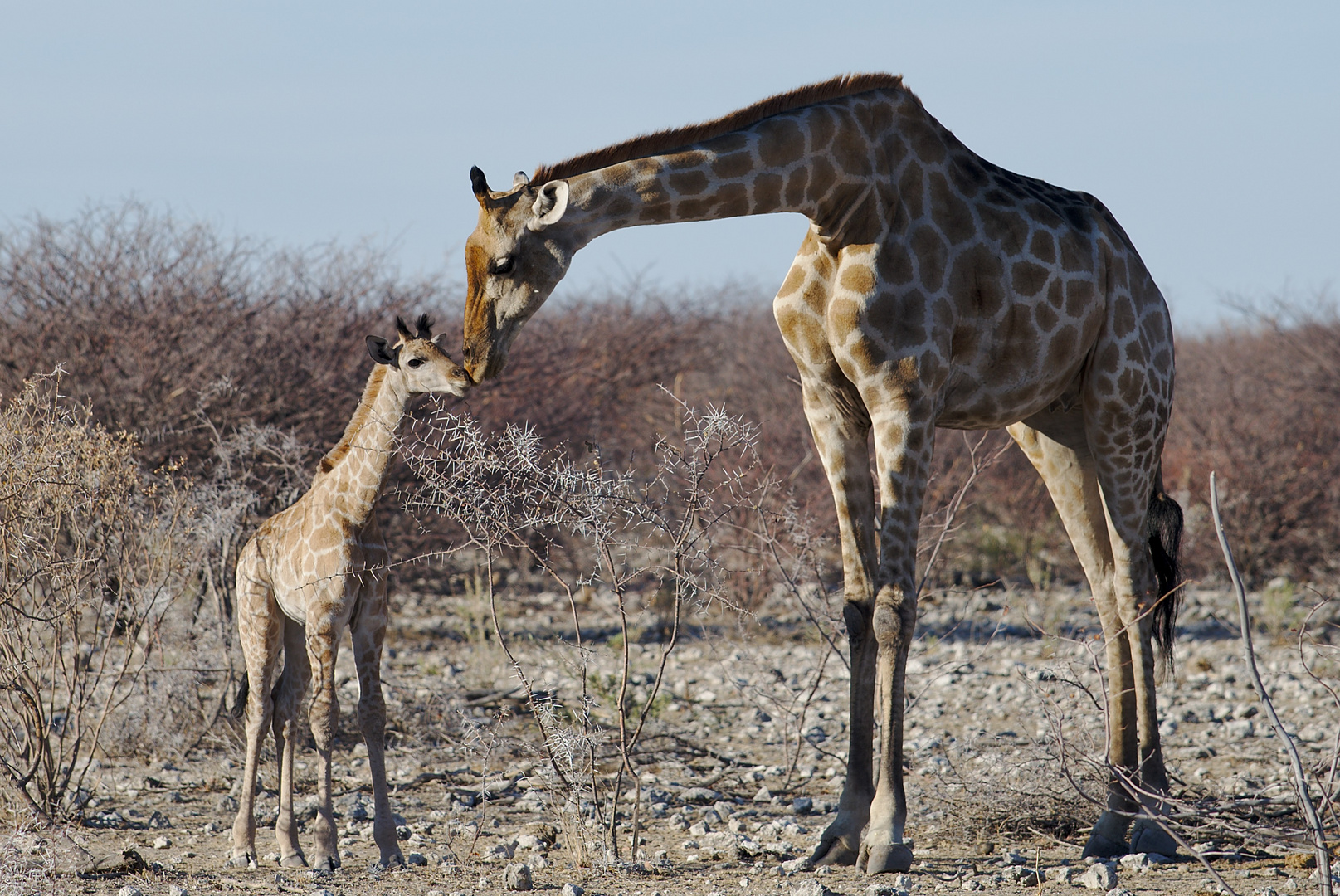 Namibia