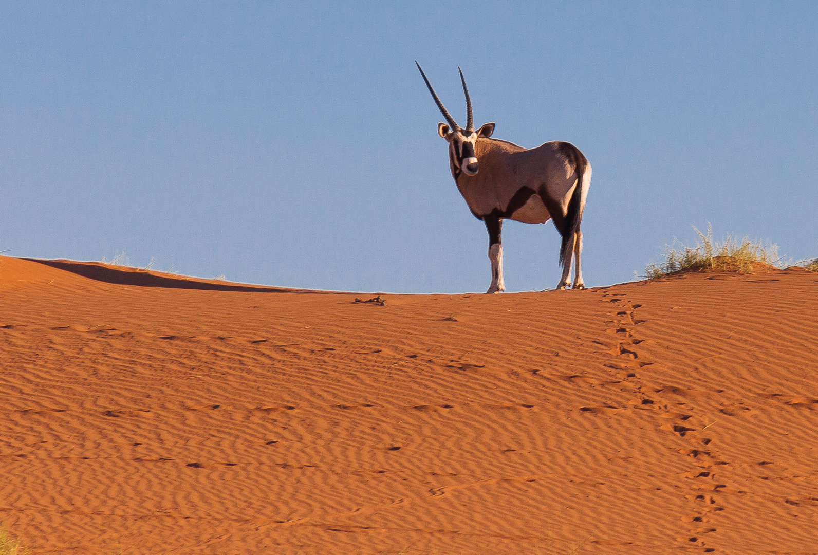 Namibia