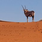 Namibia