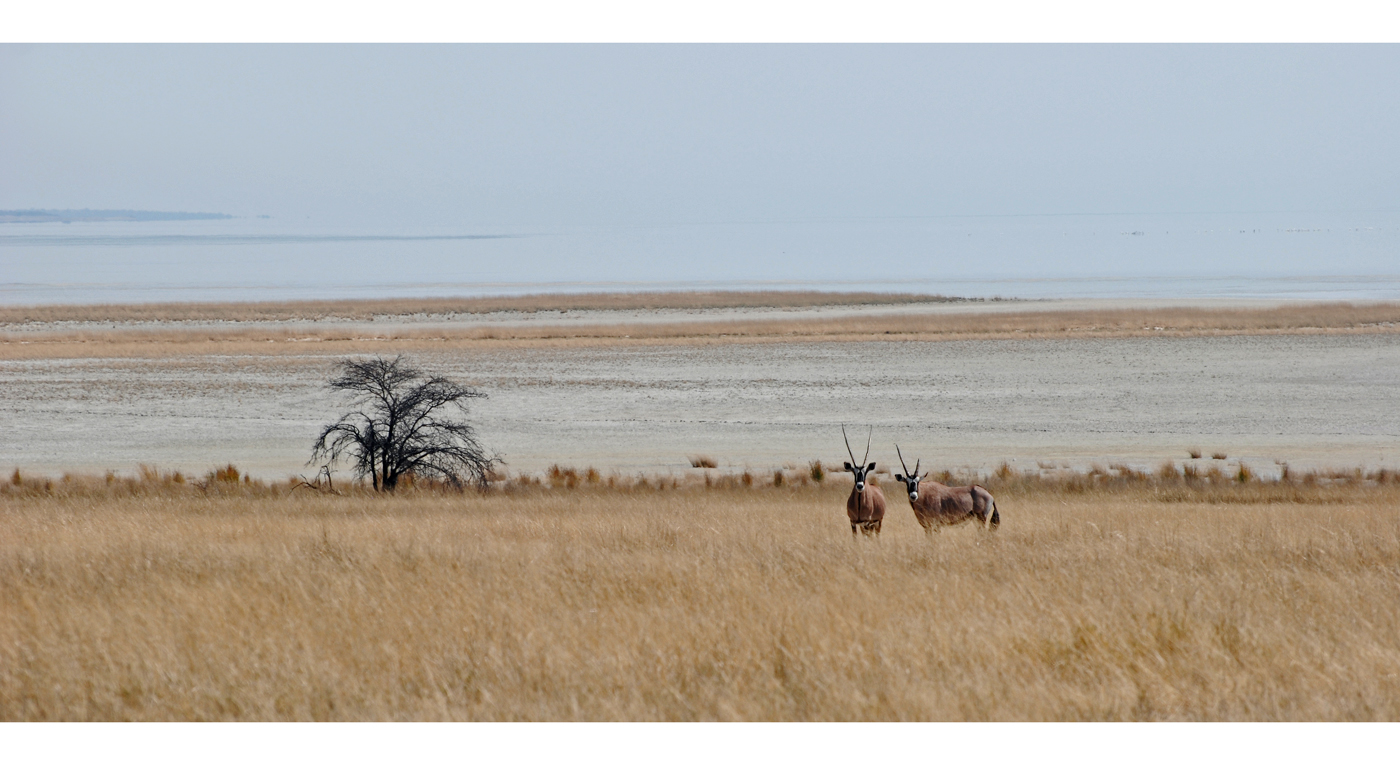 Namibia [4]