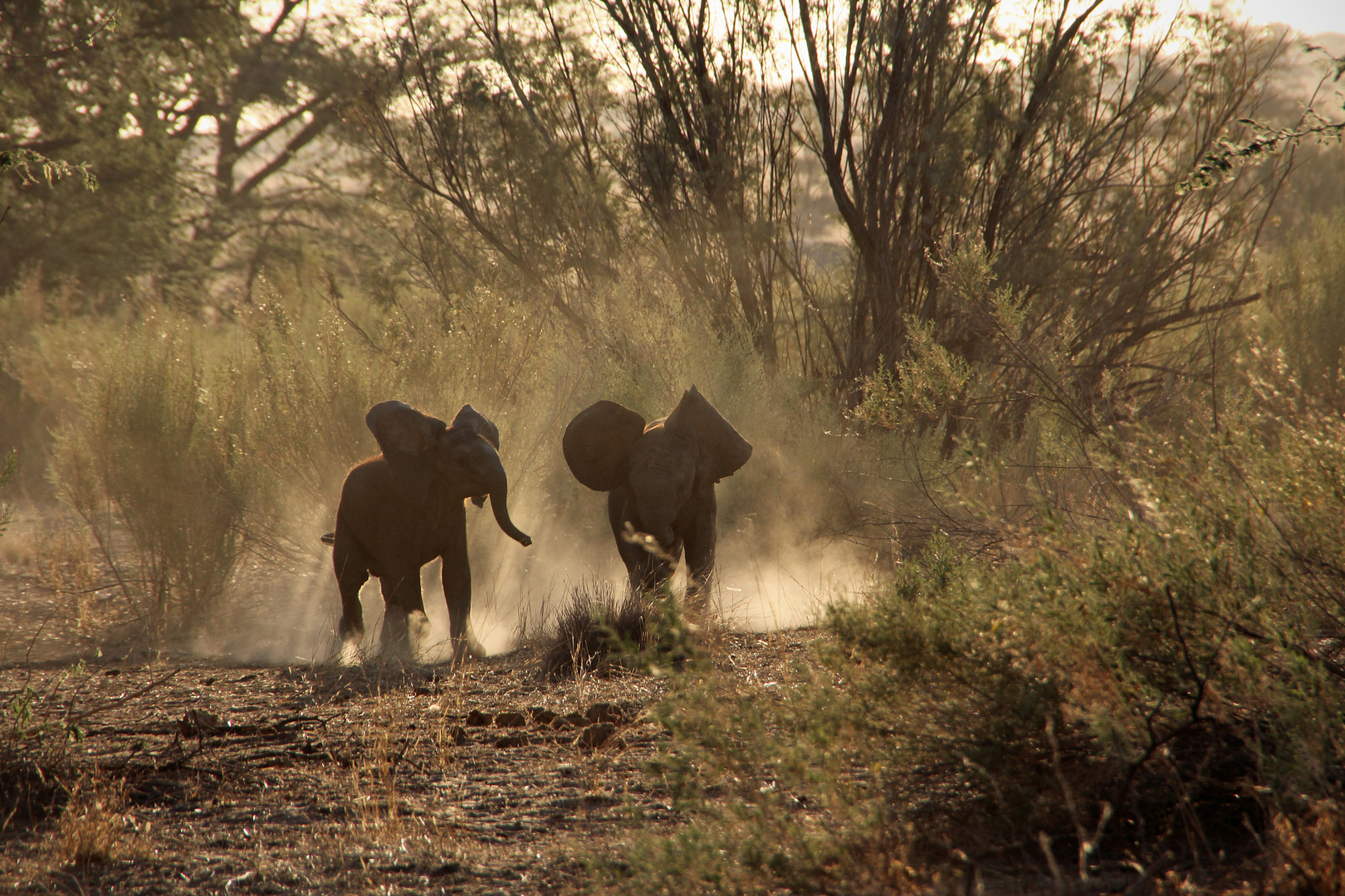 NAMIBIA 4