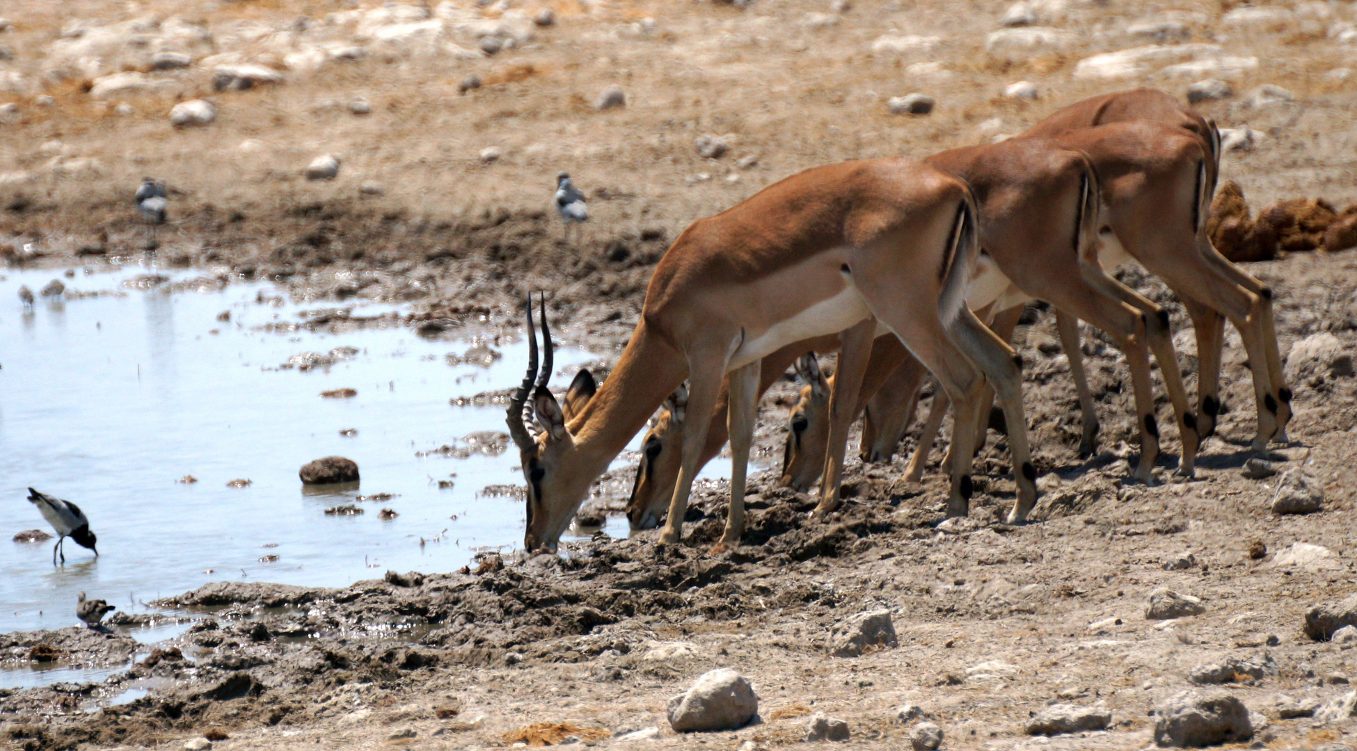 Namibia 4