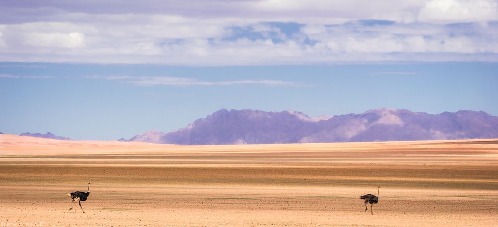 Namibia #42