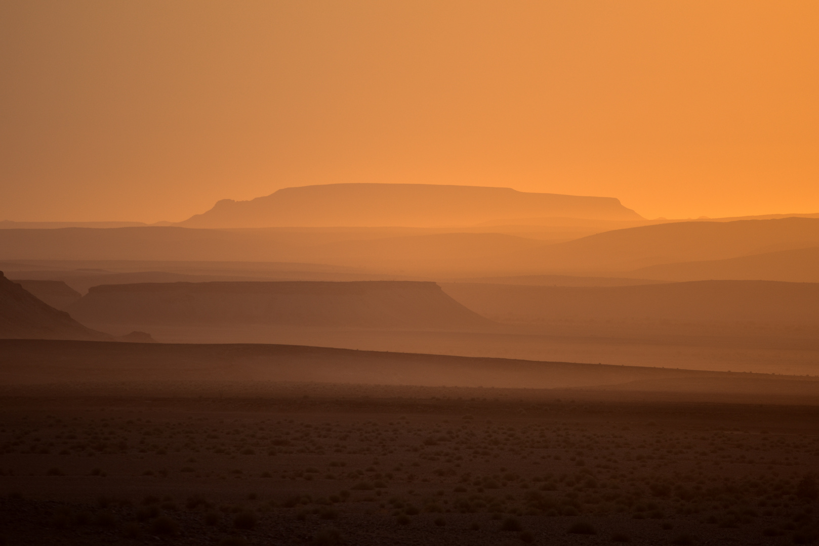 Namibia 42 - Sonnenaufgangsfahrt