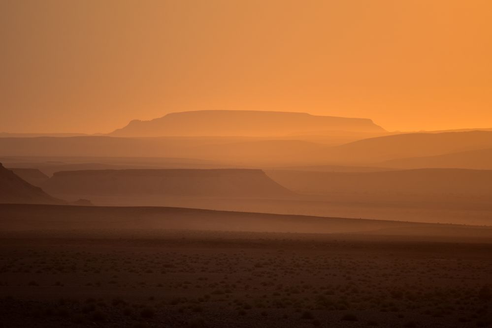 Namibia 42 - Sonnenaufgangsfahrt