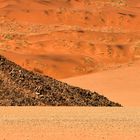 Namibia 47 - Wüste