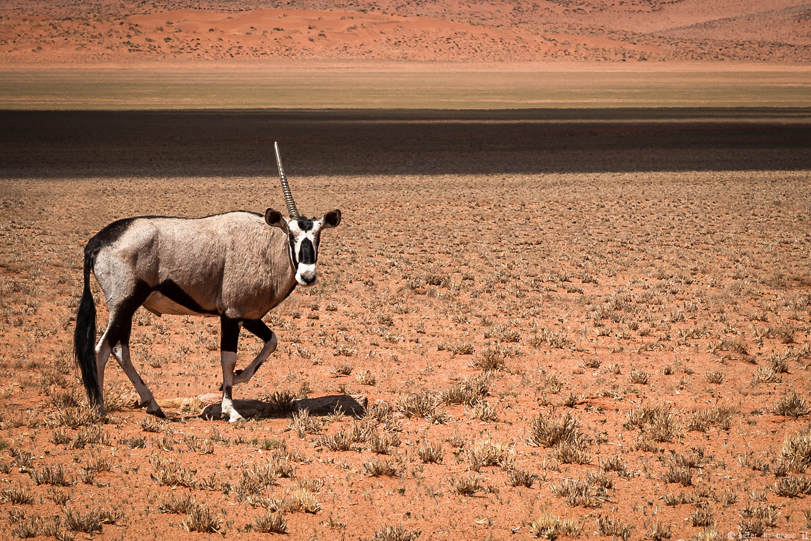 Namibia #52