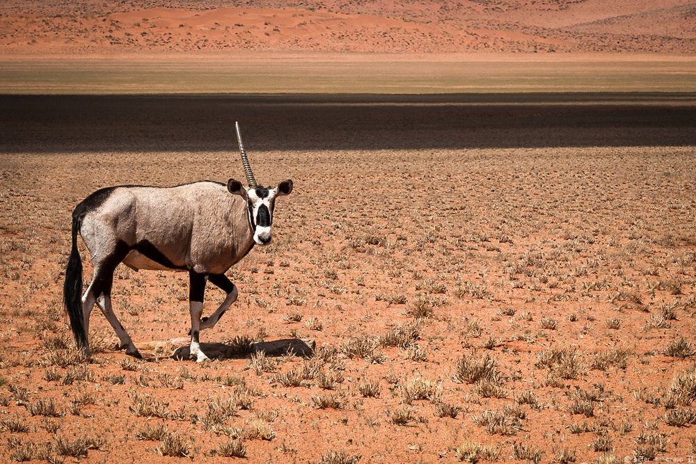 Namibia #52