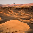 Namibia 52 - Wüste Namib