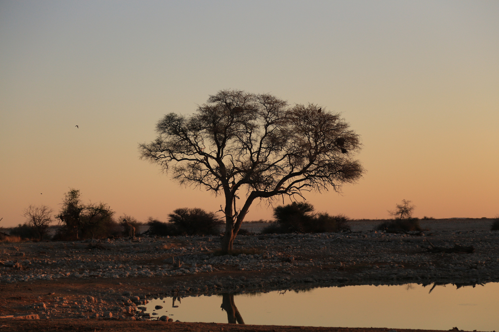 Namibia