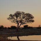 Namibia