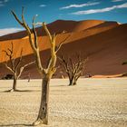 Namibia #57