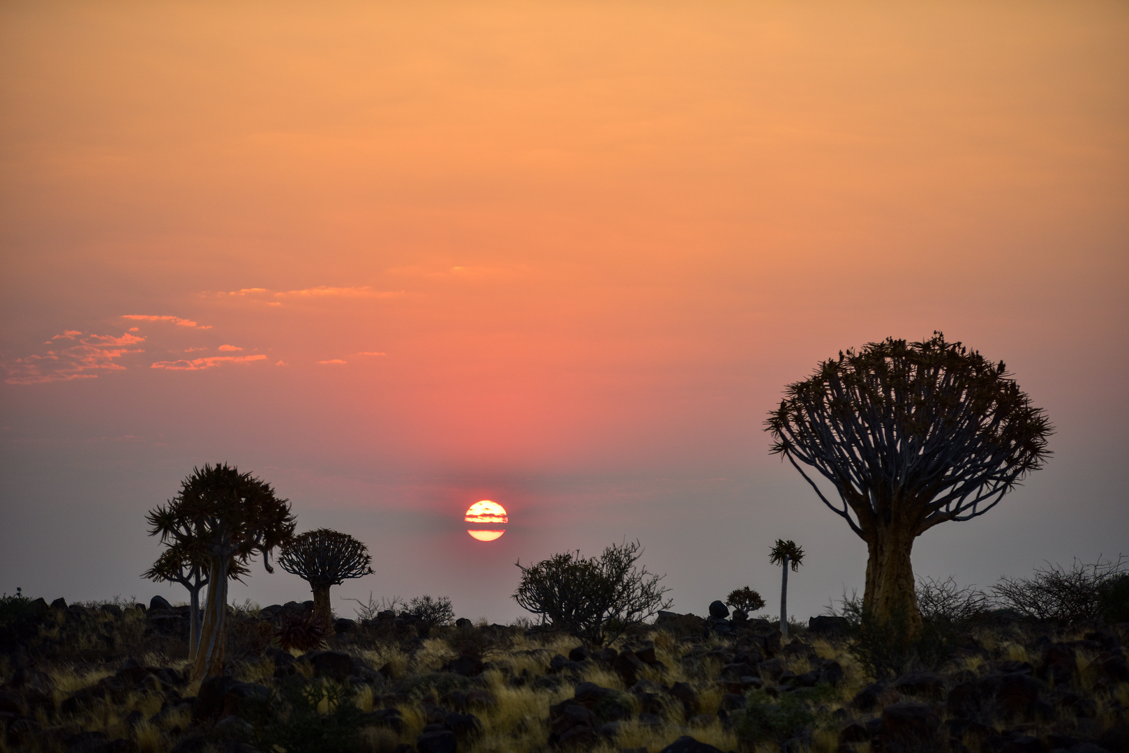 Namibia 58 - Abendstimmung