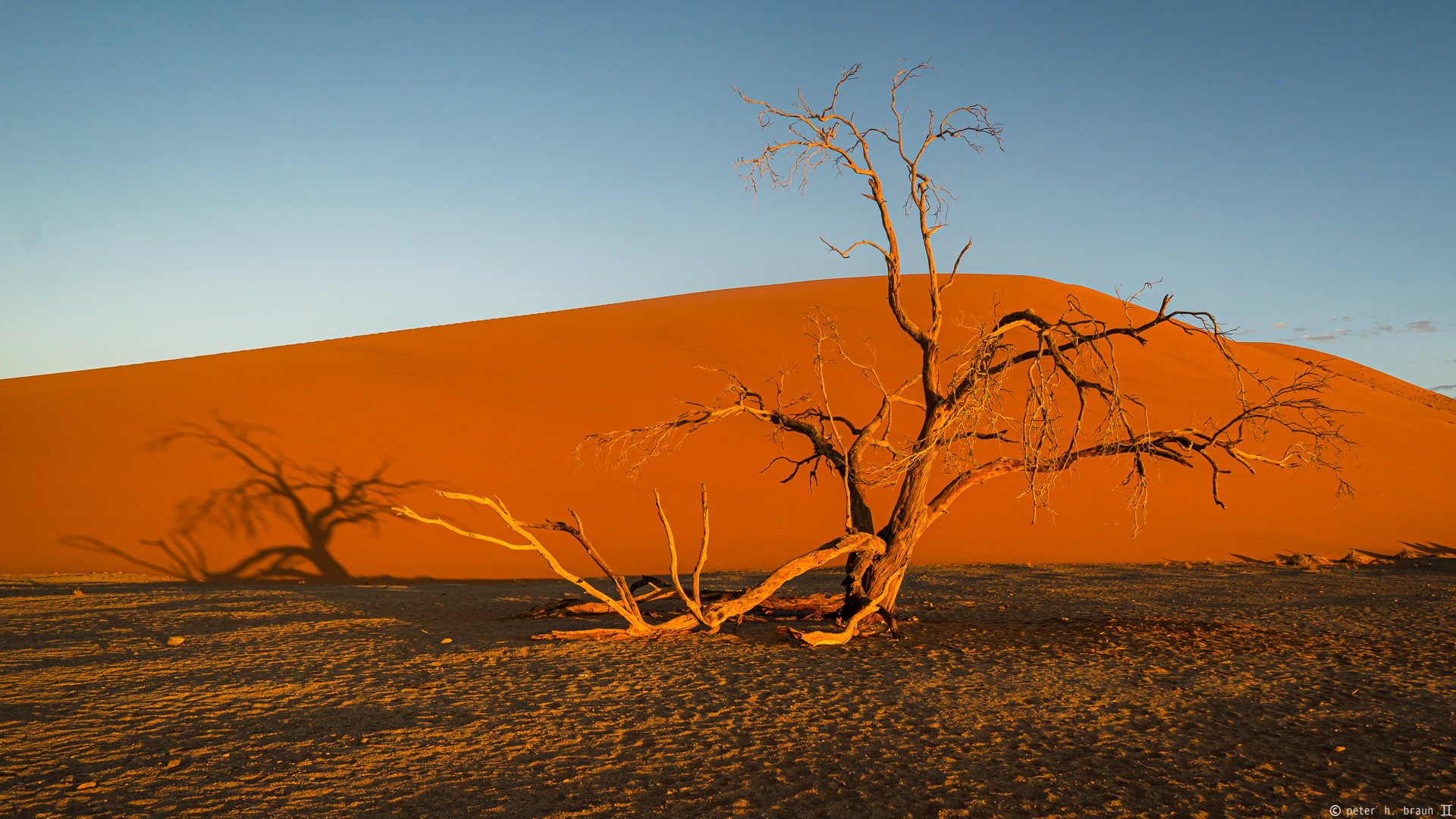 Namibia #59