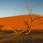 Namibia #59