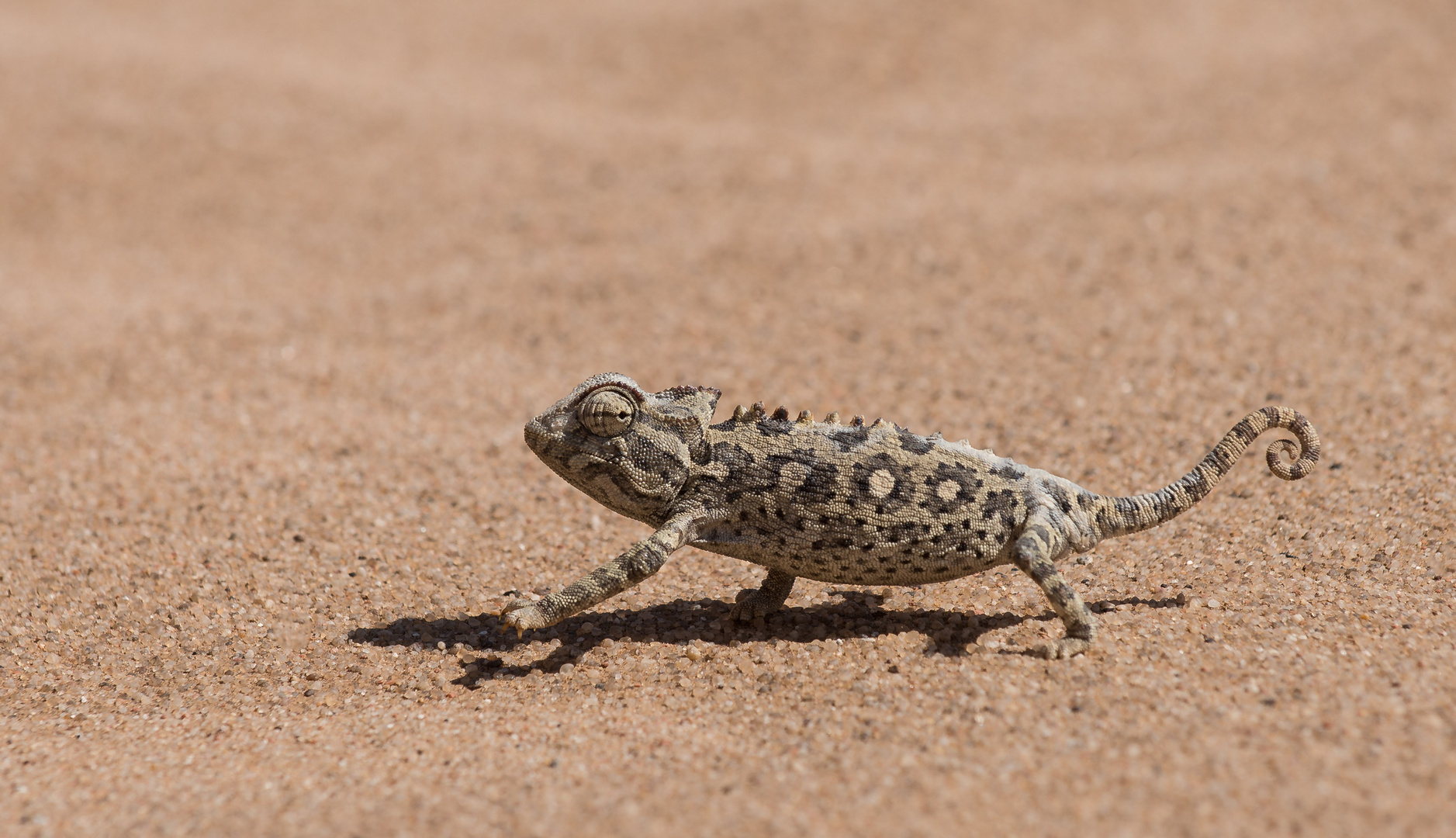 Namibia