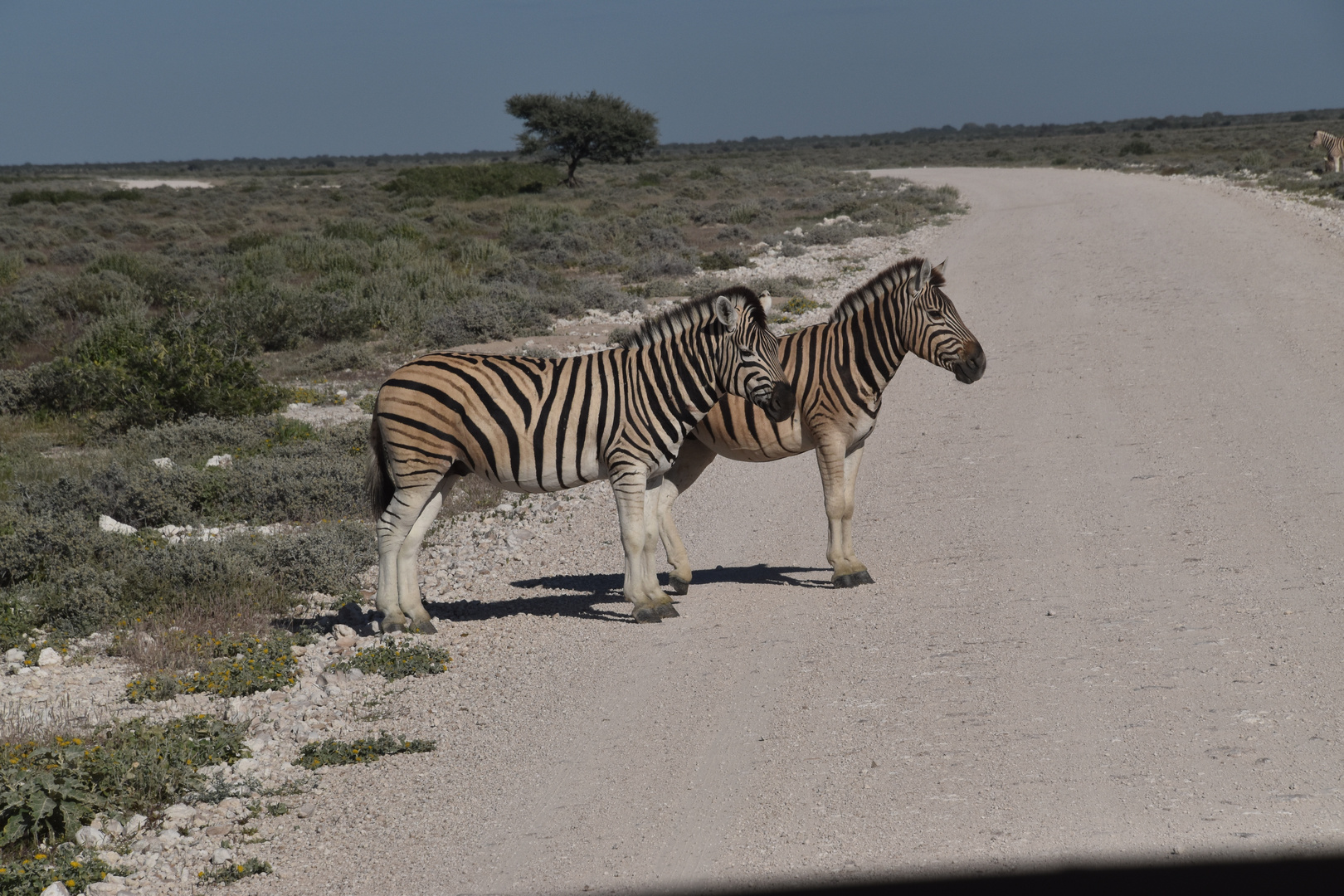 Namibia 