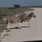 Namibia 