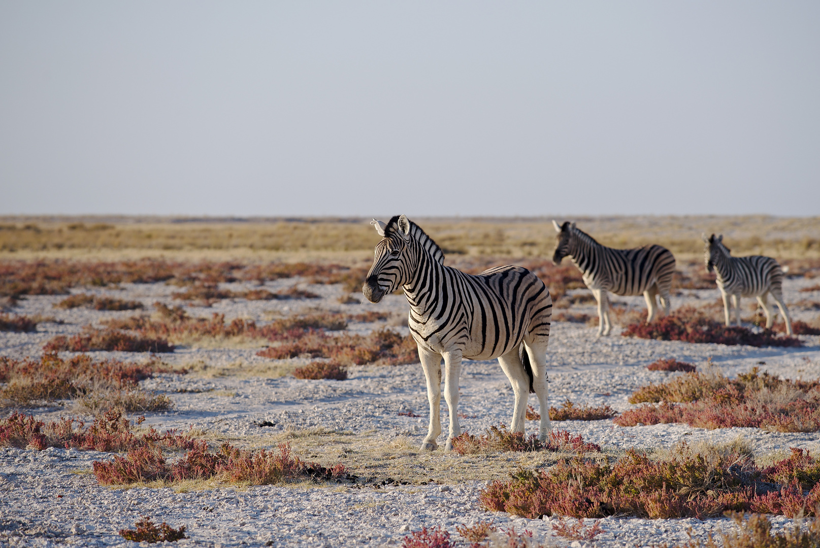 Namibia