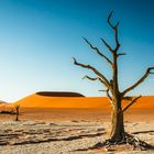 Namibia #61