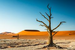 Namibia #61