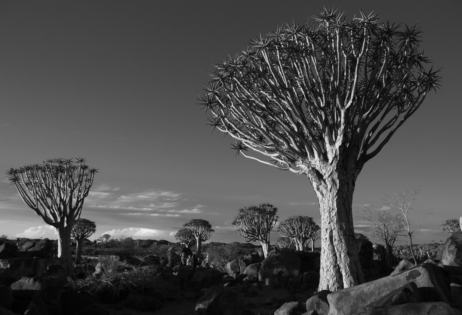 Namibia