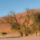 Namibia