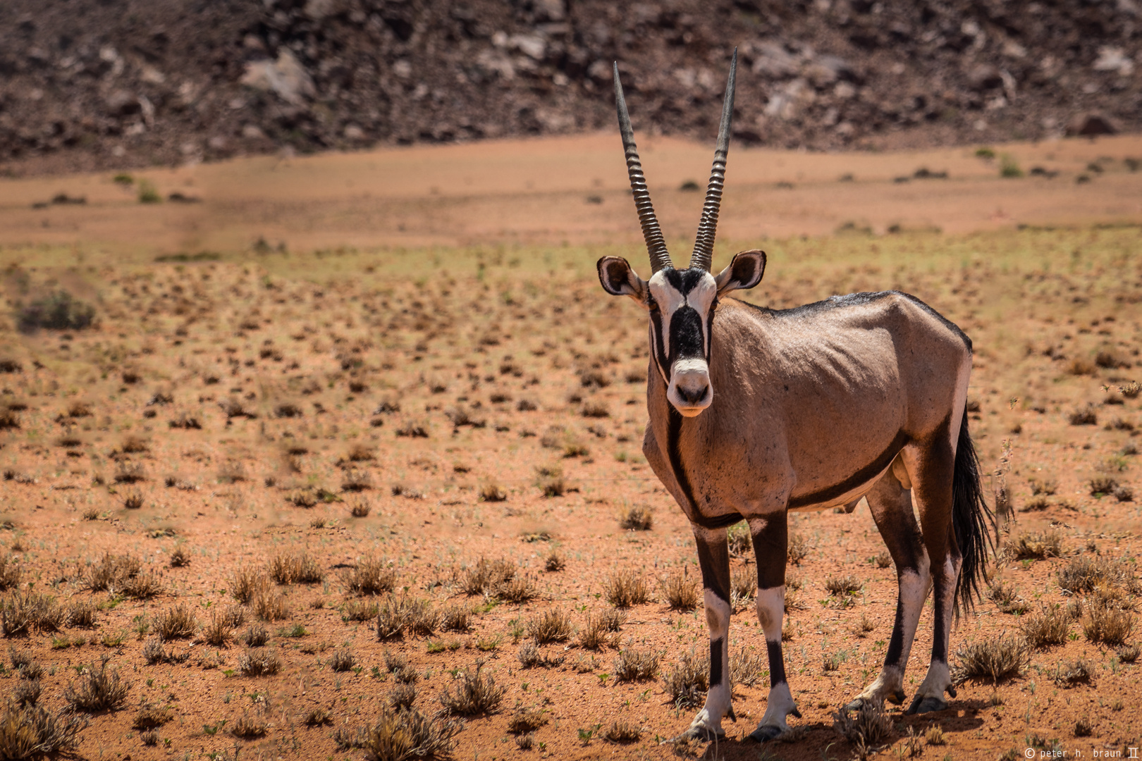 Namibia #65