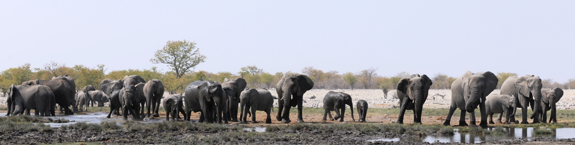 Namibia