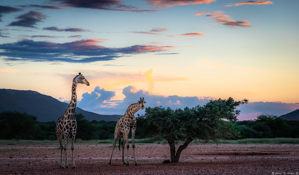 Namibia #69