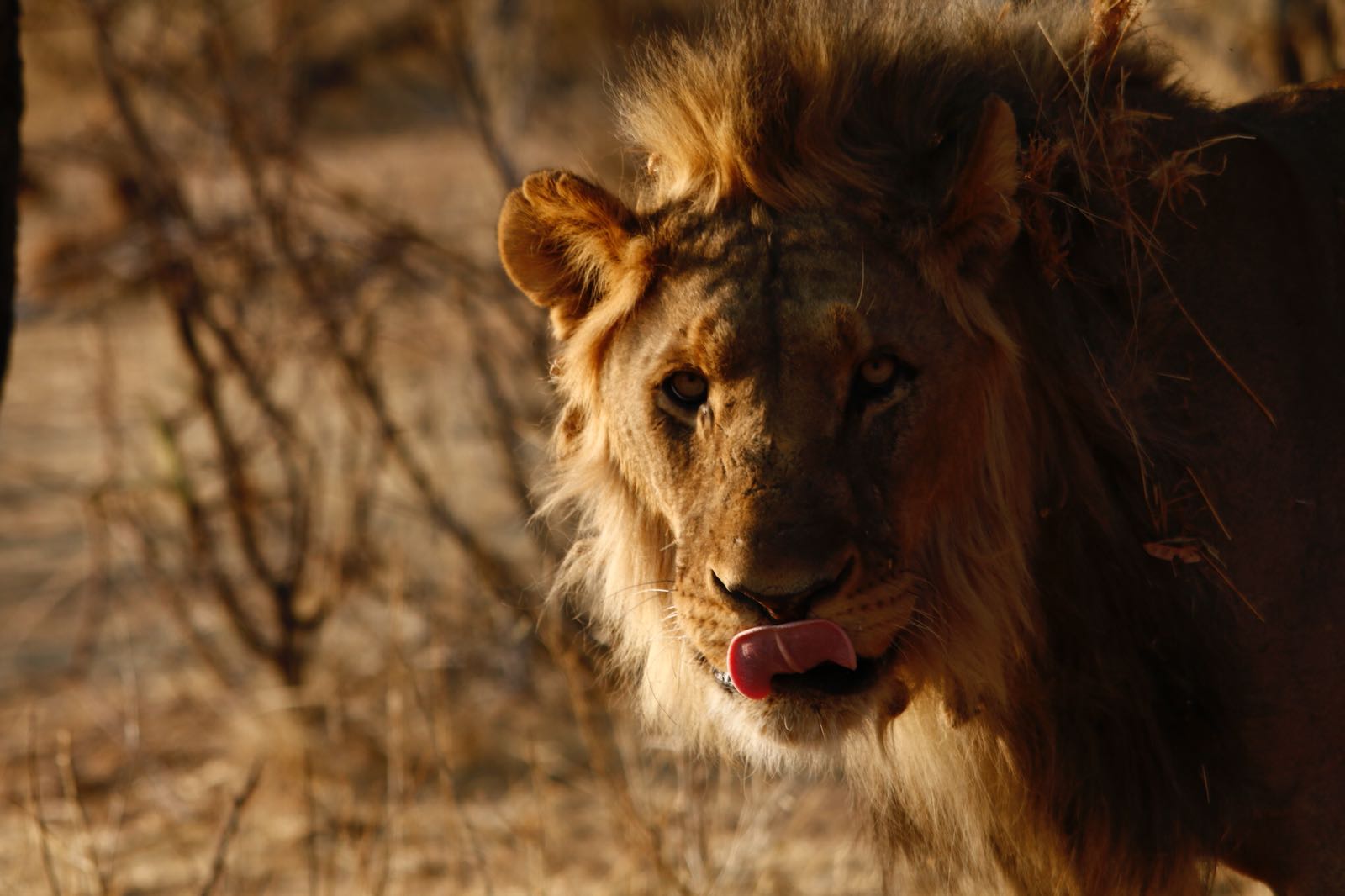 Namibia