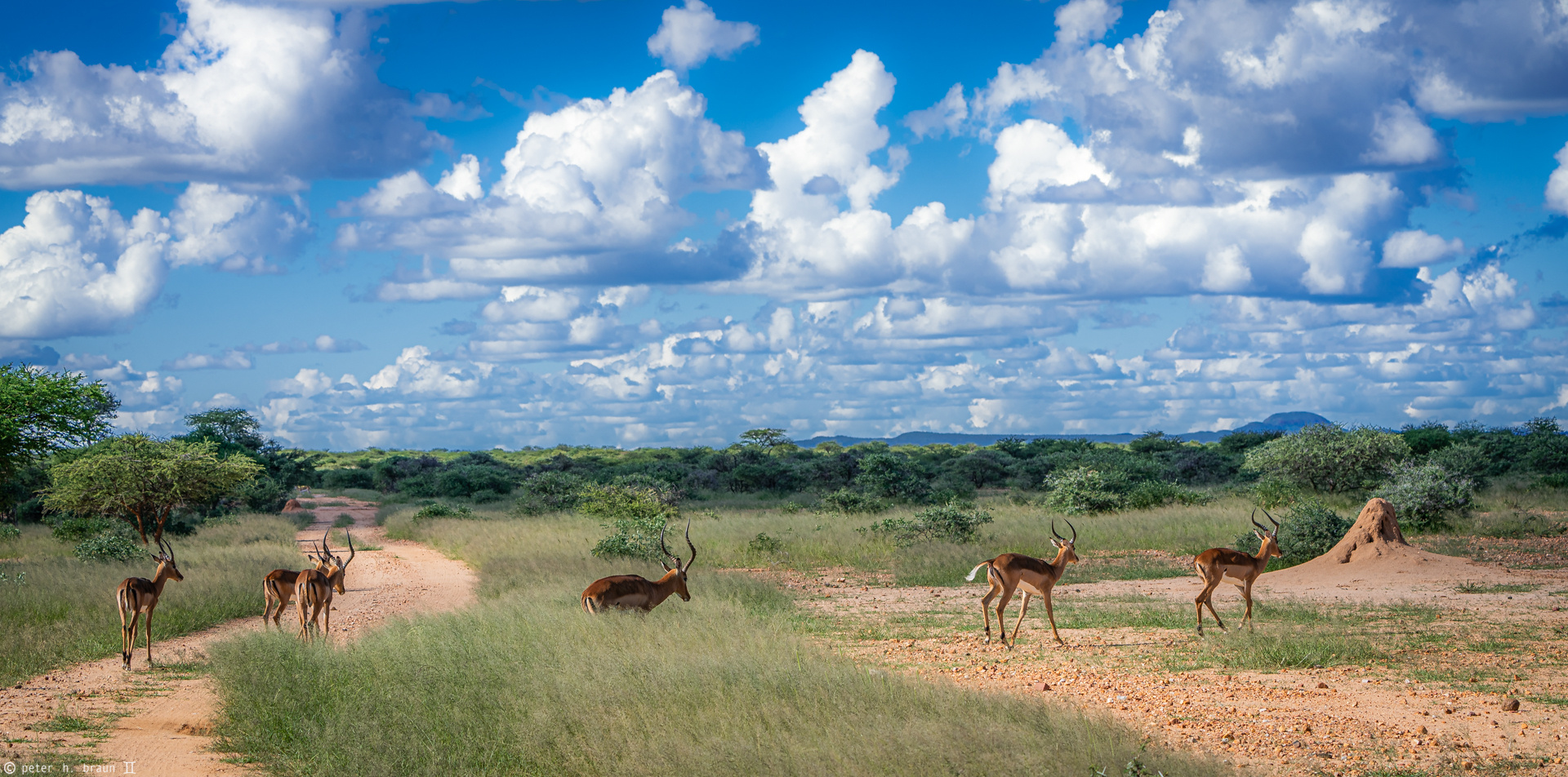 Namibia #72