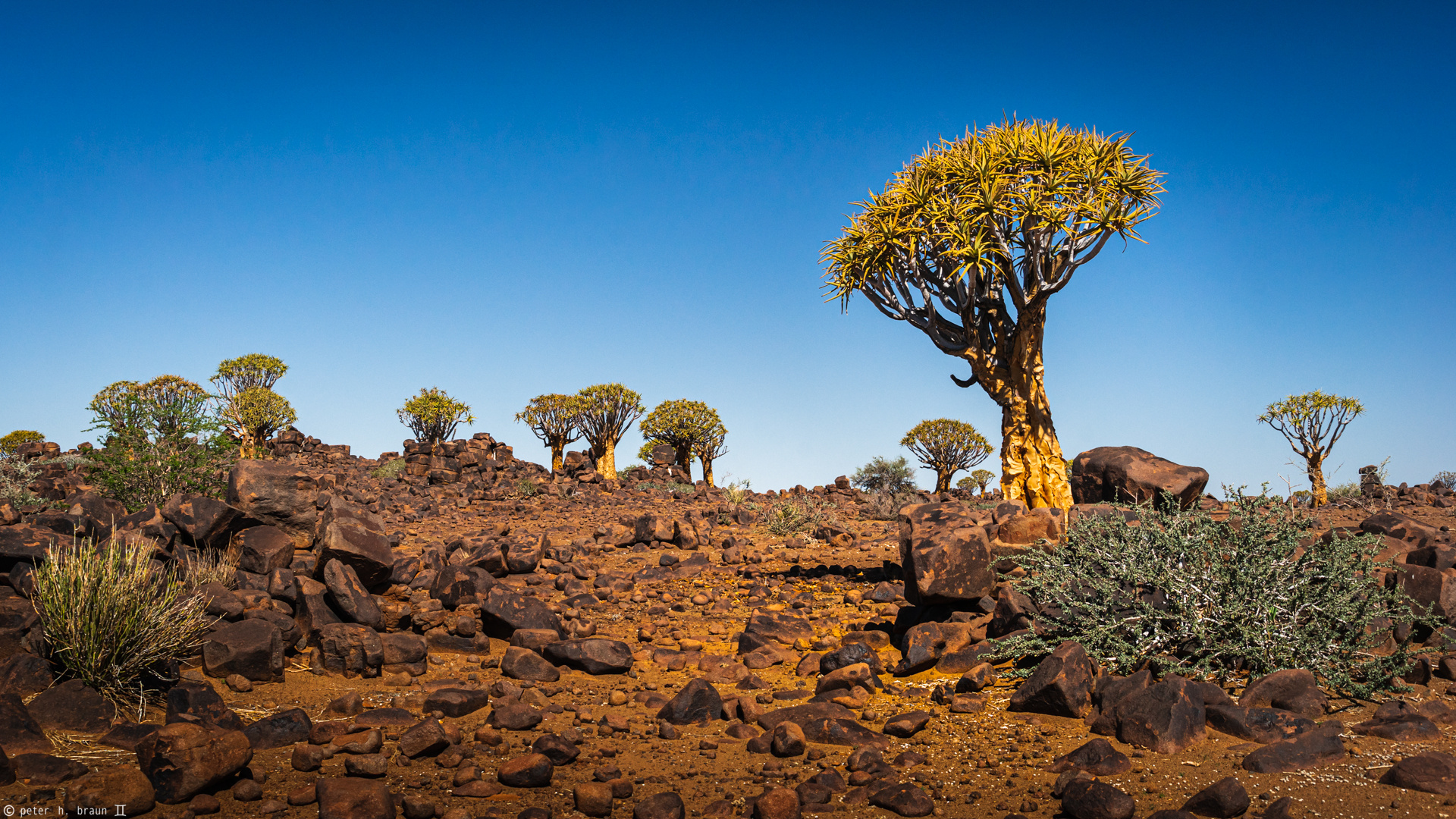 Namibia #8