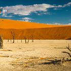 Namibia #83