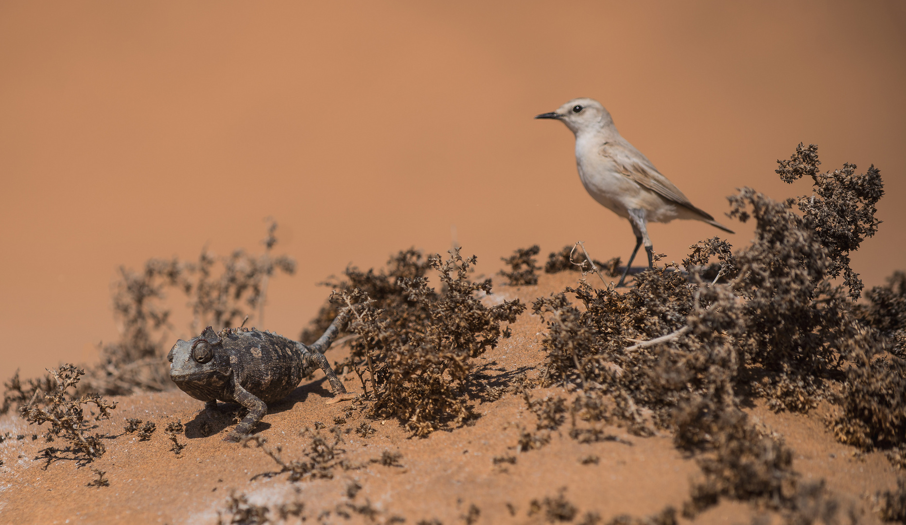 Namibia