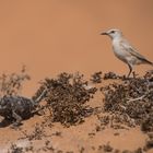 Namibia