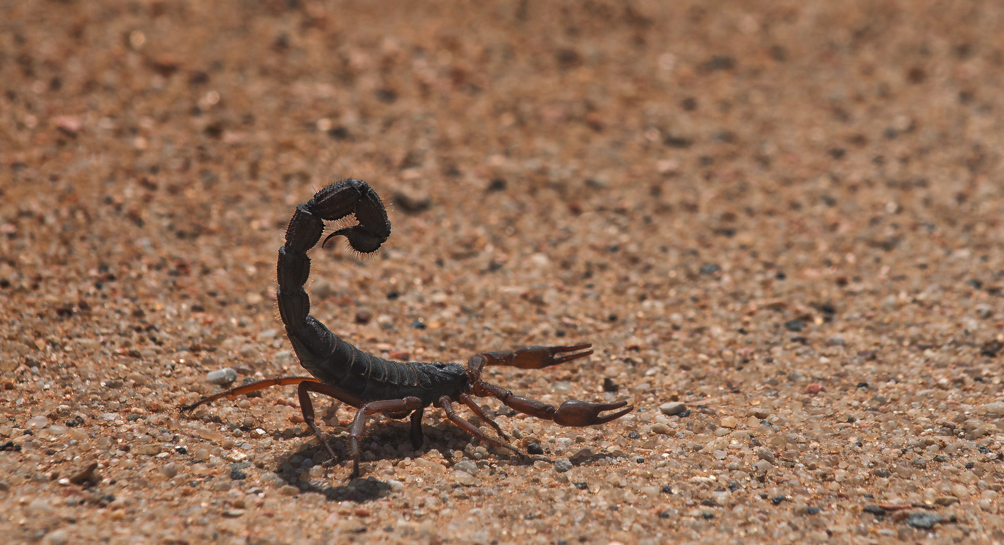 Namibia