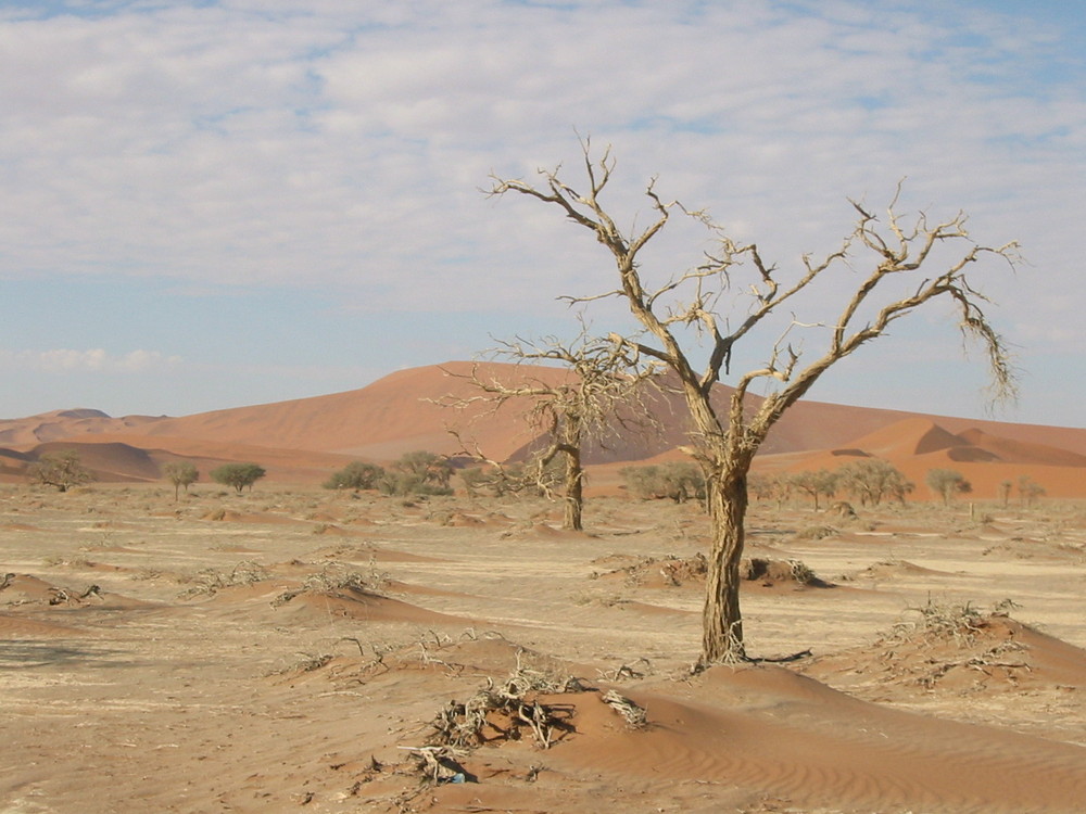 Namibia