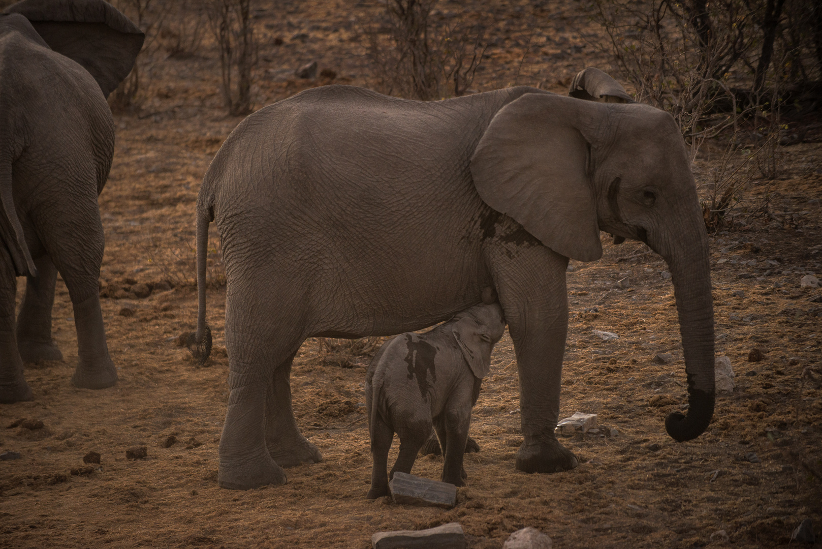 Namibia