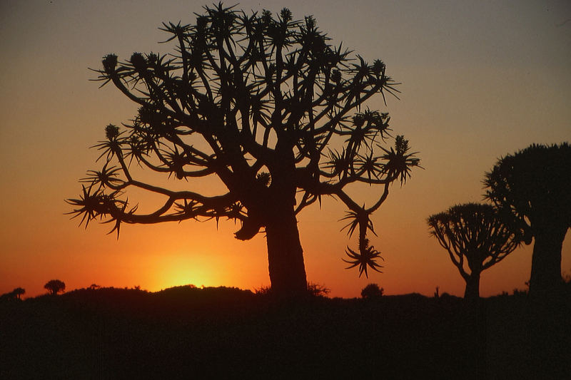 Namibia: Abends bei Keetmanshoop