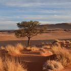 Namibia - Abendstimmung in der Namib (November 2016)