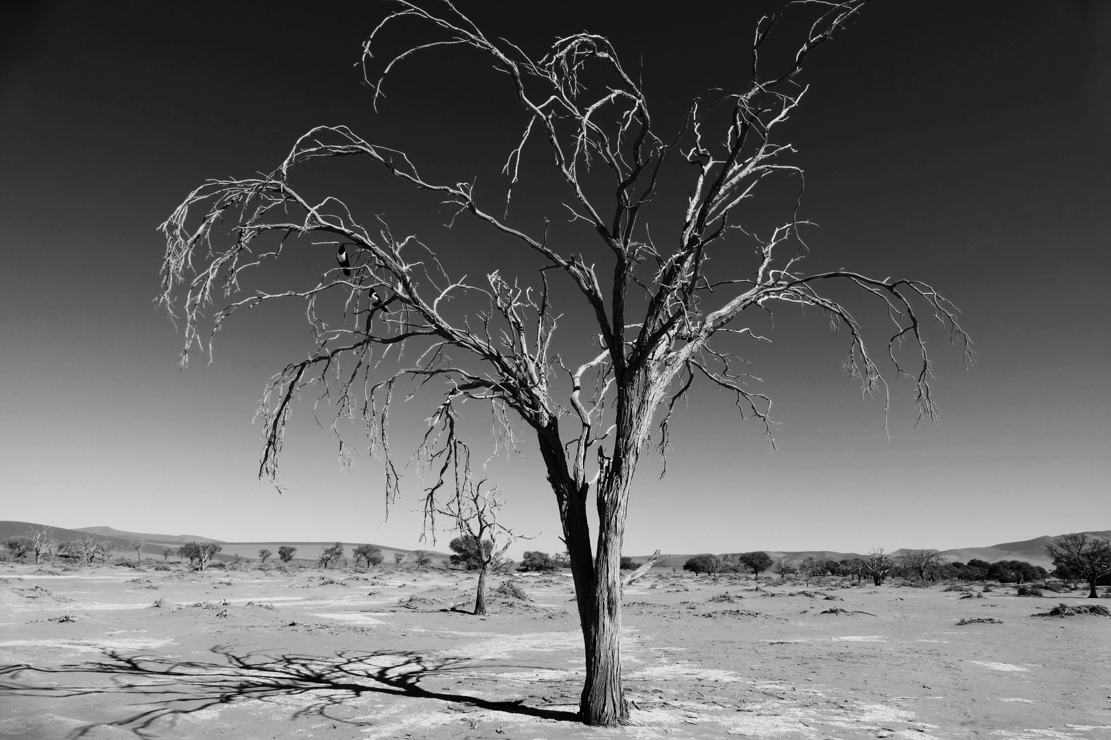 Namibia