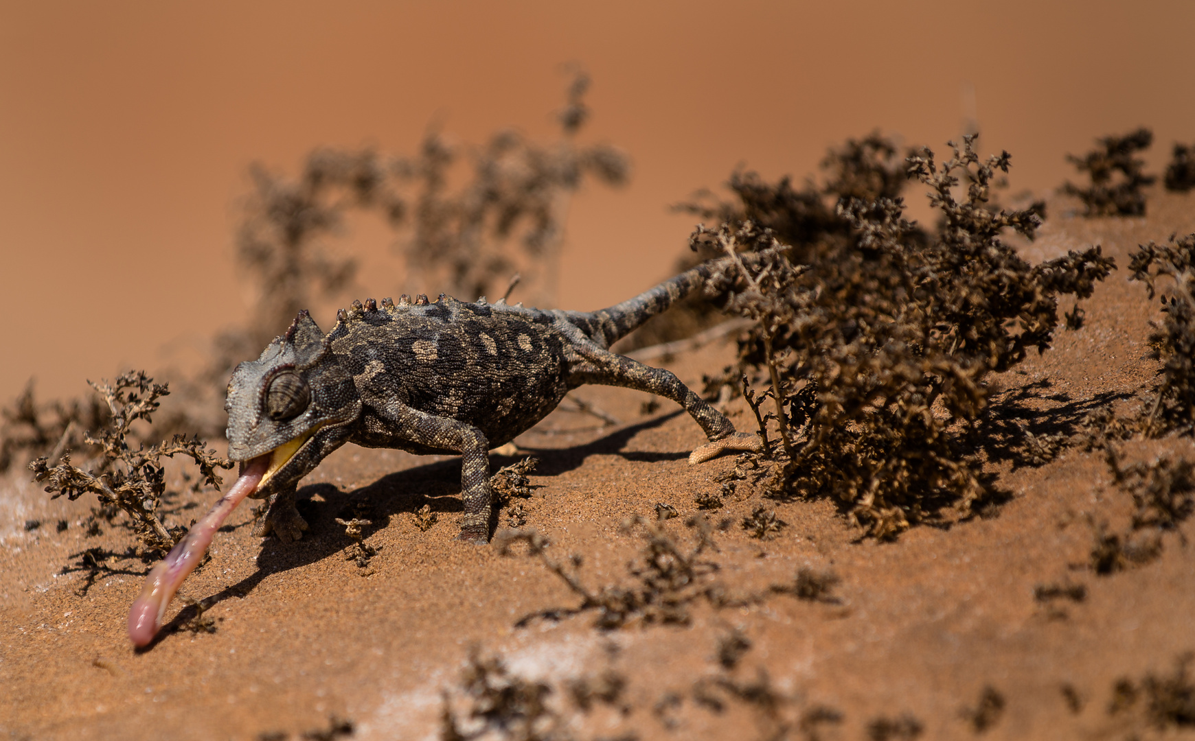 Namibia