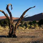 Namibia