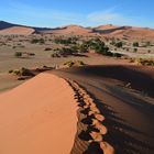 Namibia - Auf der Big Mama im Sossusvlei (November 2016)