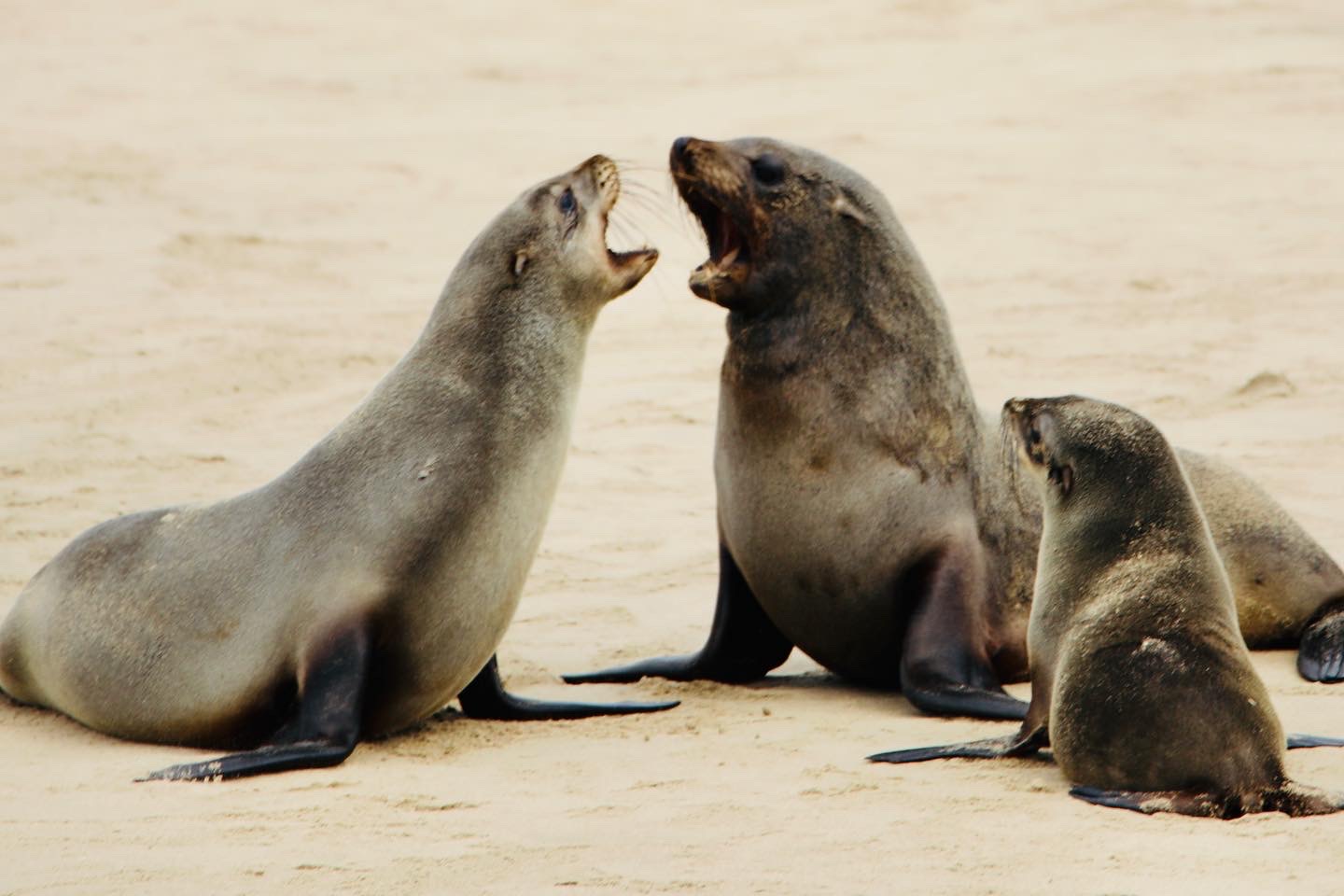 Namibia