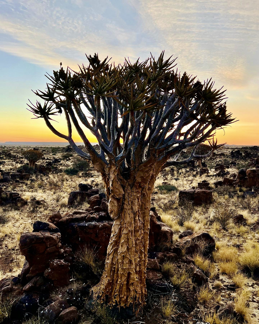 Namibia